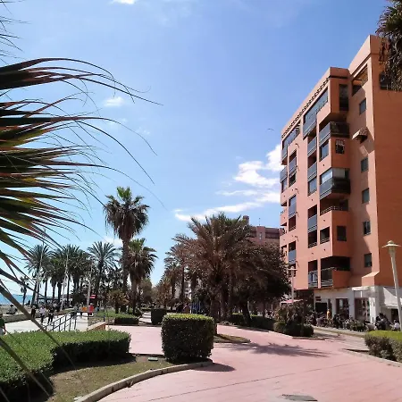 Pacifico 3 *